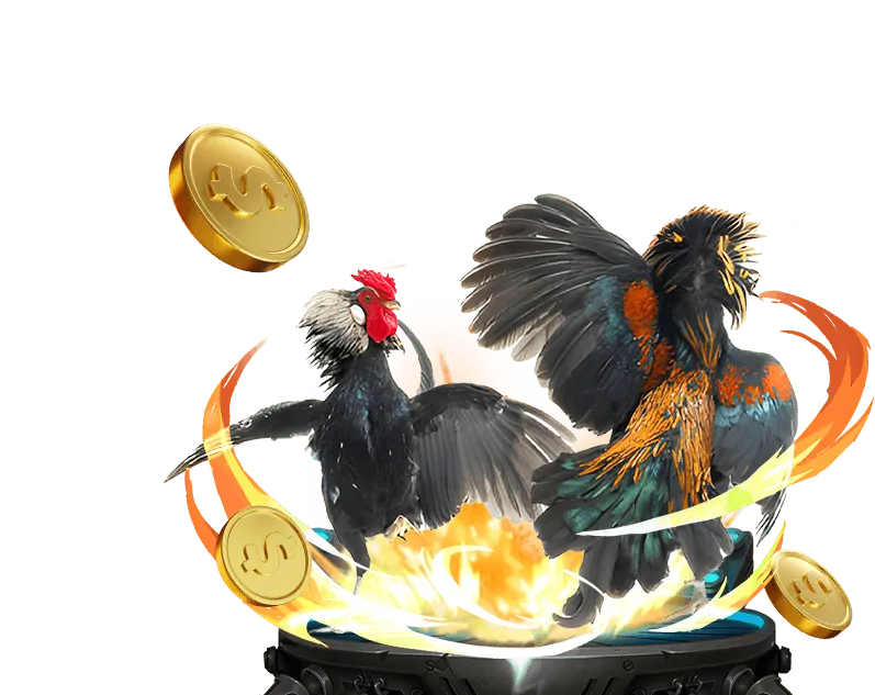 Chương trình VIP cm88